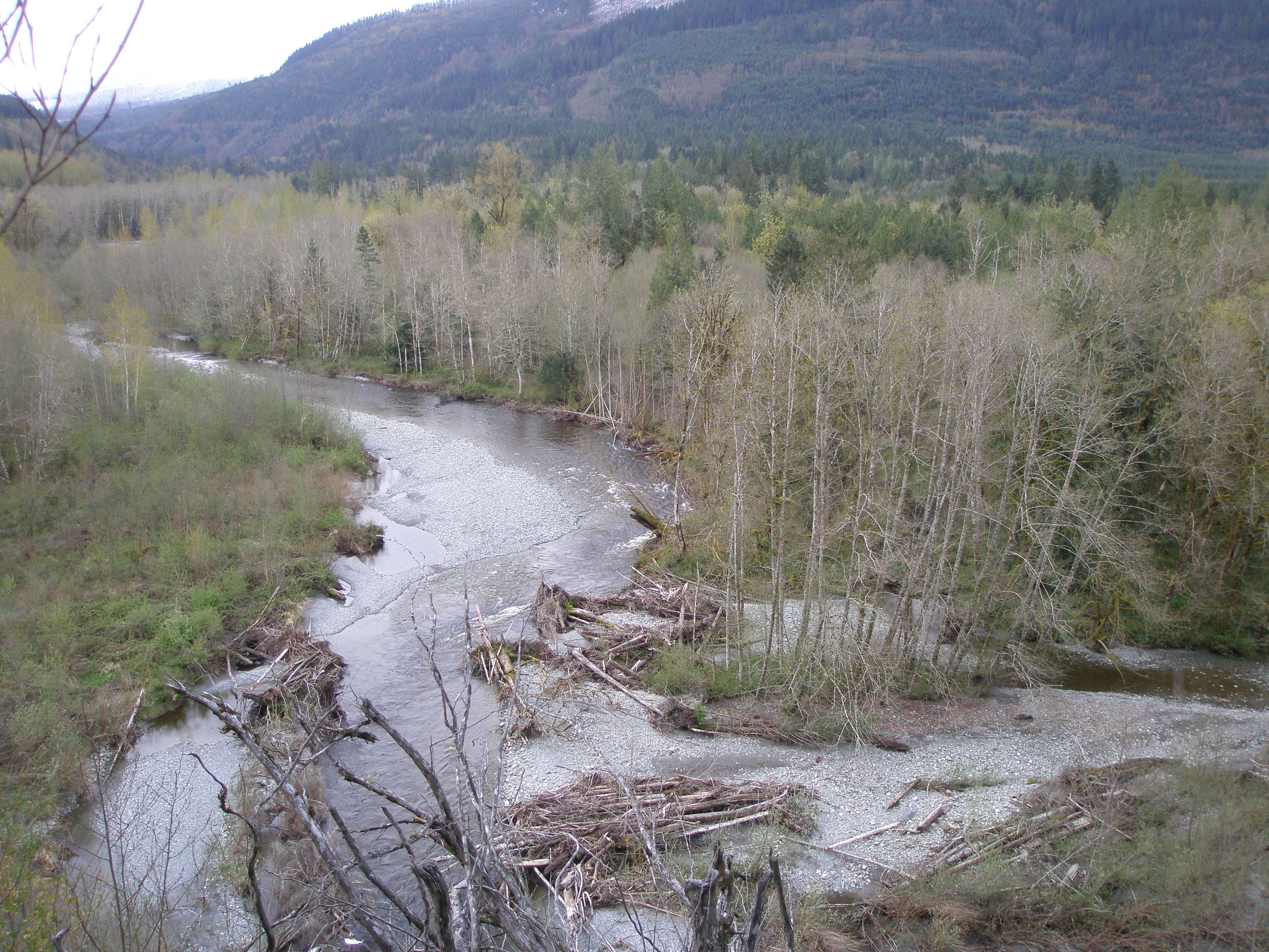 Day Creek Property Skagit Land Trust